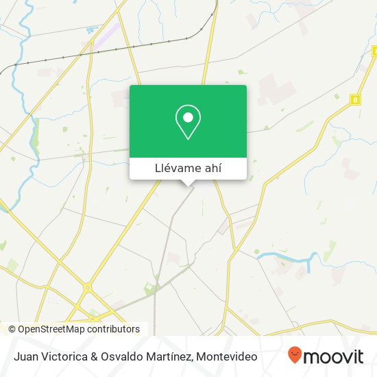 Mapa de Juan Victorica & Osvaldo Martínez