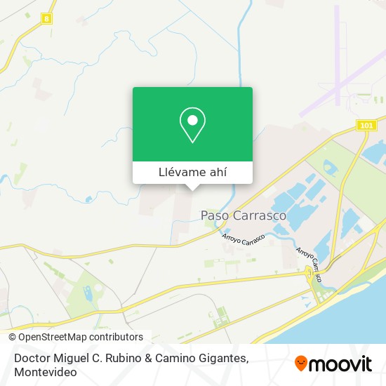 Mapa de Doctor Miguel C. Rubino & Camino Gigantes