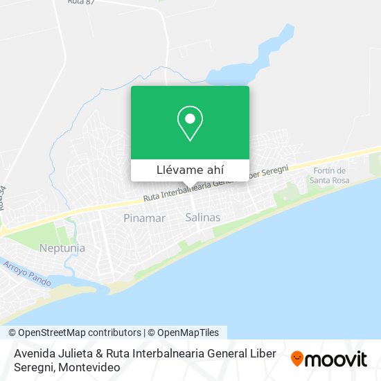 Mapa de Avenida Julieta & Ruta Interbalnearia General Liber Seregni