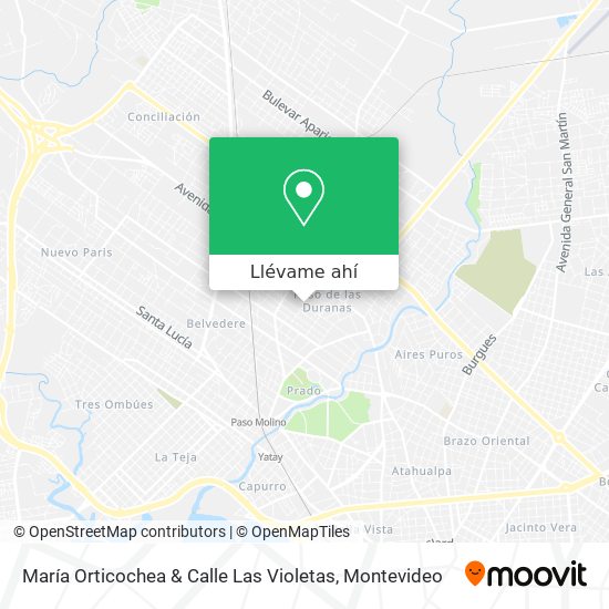 Mapa de María Orticochea & Calle Las Violetas