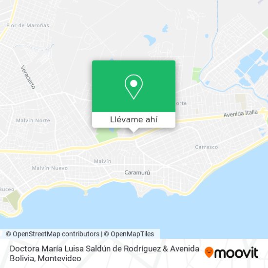 Mapa de Doctora María Luisa Saldún de Rodríguez & Avenida Bolivia