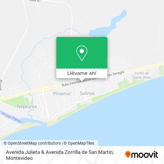 Mapa de Avenida Julieta & Avenida Zorrilla de San Martín