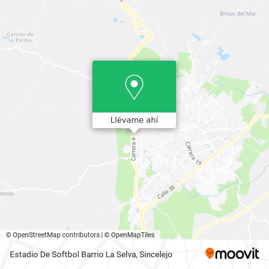 Mapa de Estadio De Softbol Barrio La Selva