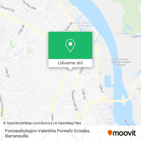 Mapa de Fonoaudiologos-Valentina Ponnefz Grizales