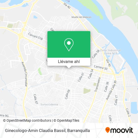 Mapa de Ginecologo-Amin Claudia Bassil