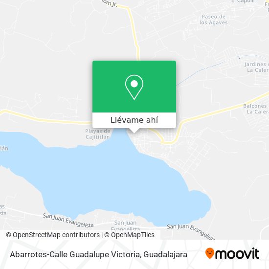 Mapa de Abarrotes-Calle Guadalupe Victoria