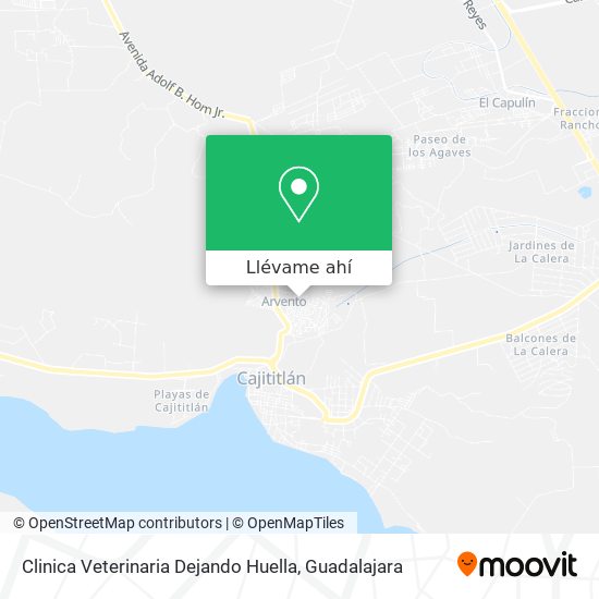 Mapa de Clinica Veterinaria Dejando Huella