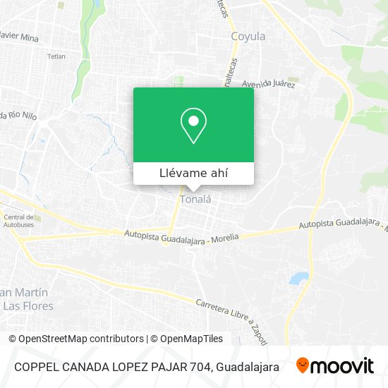 Mapa de COPPEL CANADA LOPEZ PAJAR 704