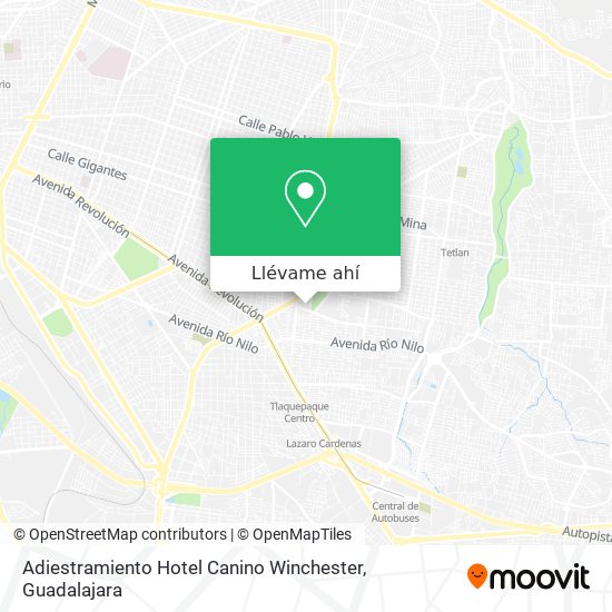 Mapa de Adiestramiento Hotel Canino Winchester