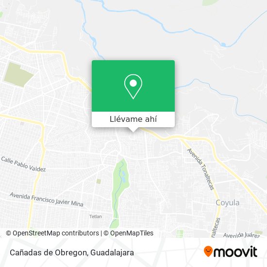 Mapa de Cañadas de Obregon