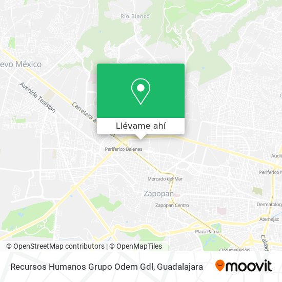 Mapa de Recursos Humanos Grupo Odem Gdl