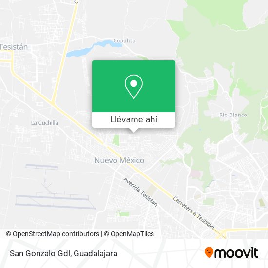 Mapa de San Gonzalo Gdl