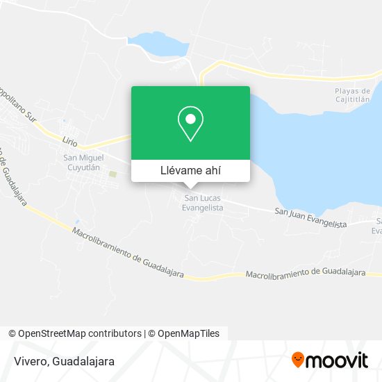 Mapa de Vivero