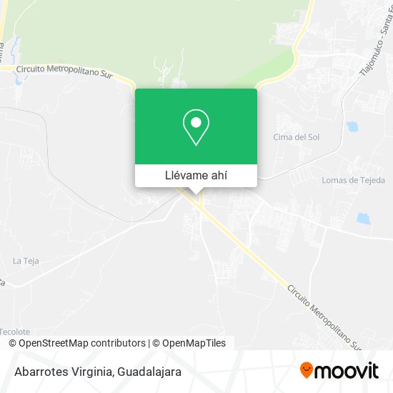 Mapa de Abarrotes Virginia