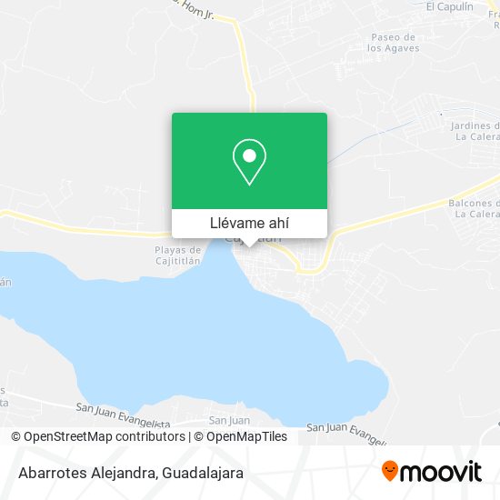 Mapa de Abarrotes Alejandra