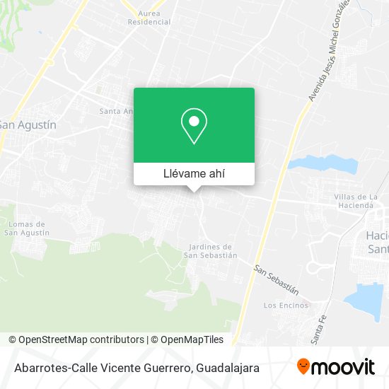 Mapa de Abarrotes-Calle Vicente Guerrero