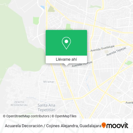 Mapa de Acuarela Decoración / Cojines Alejandra