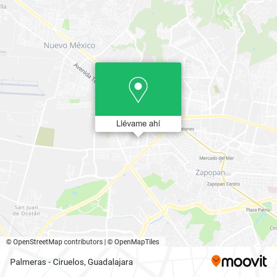 Mapa de Palmeras - Ciruelos