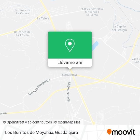 Mapa de Los Burritos de Moyahua