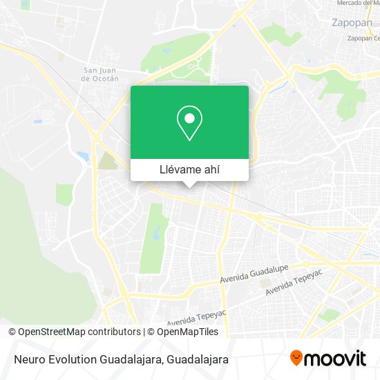 Mapa de Neuro Evolution Guadalajara