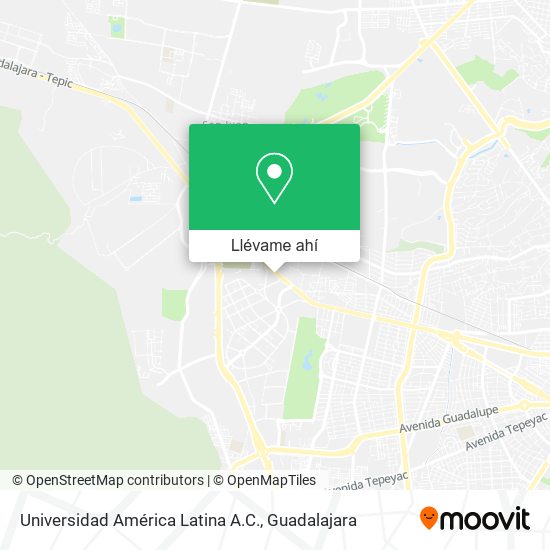 Mapa de Universidad América Latina A.C.