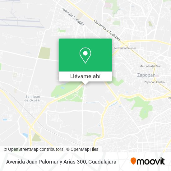 Mapa de Avenida Juan Palomar y Arias 300