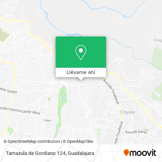 Mapa de Tamazula de Gordiano 124