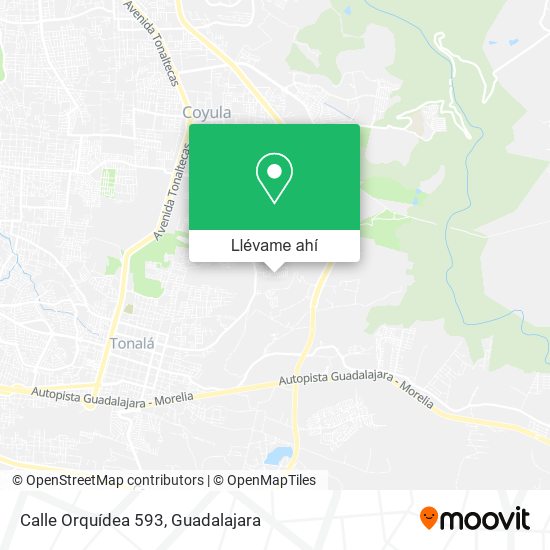 Mapa de Calle Orquídea 593