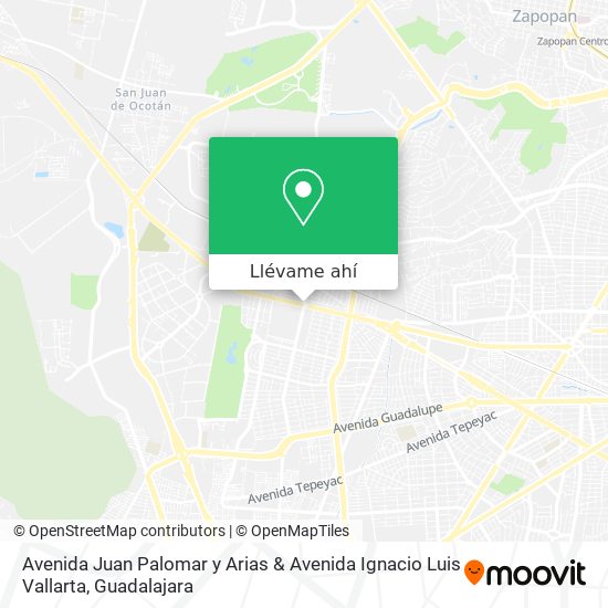 Mapa de Avenida Juan Palomar y Arias & Avenida Ignacio Luis Vallarta