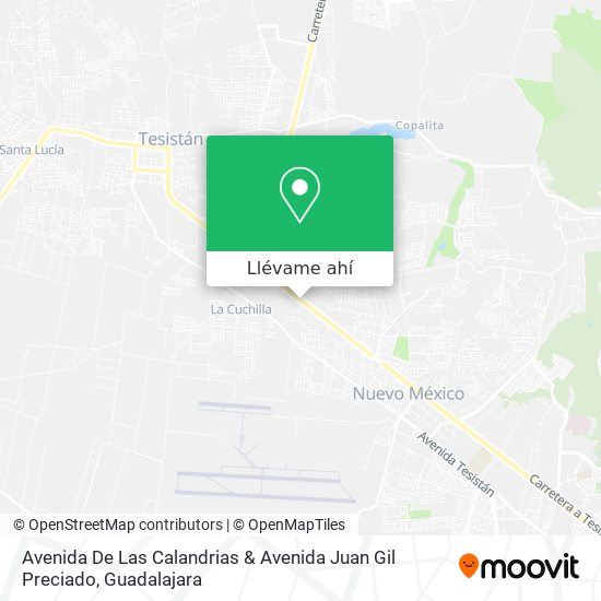 Mapa de Avenida De Las Calandrias & Avenida Juan Gil Preciado