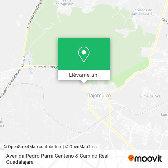 Mapa de Avenida Pedro Parra Centeno & Camino Real