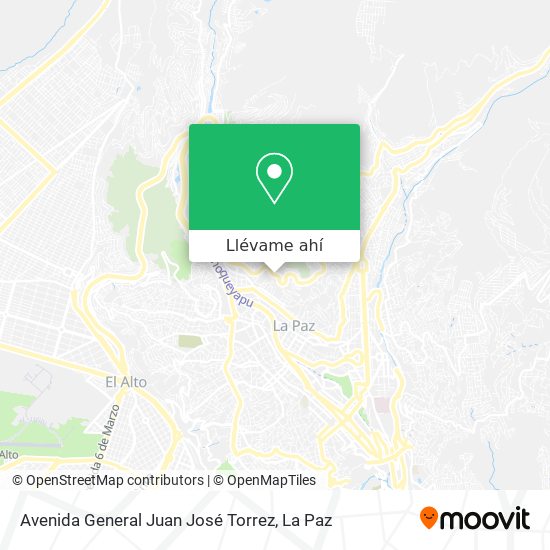 Mapa de Avenida General Juan José Torrez
