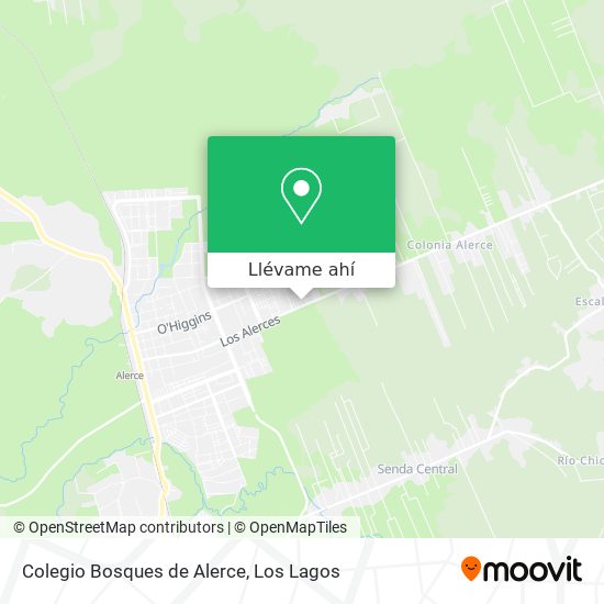 Mapa de Colegio Bosques de Alerce