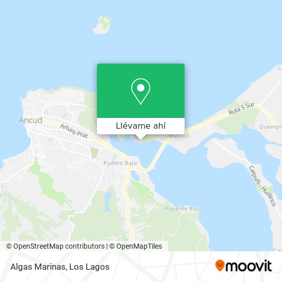 Mapa de Algas Marinas