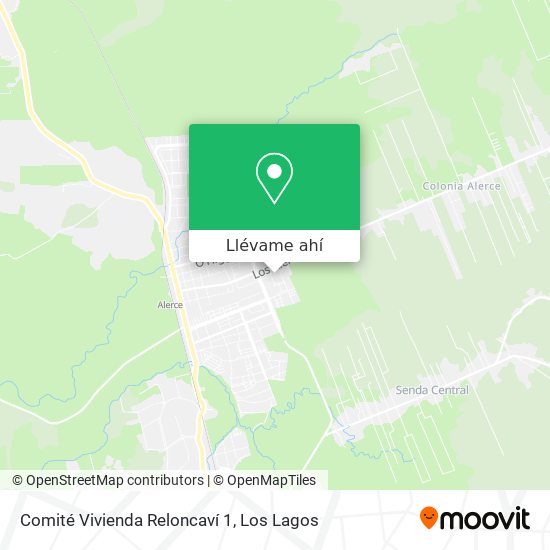 Mapa de Comité Vivienda Reloncaví 1