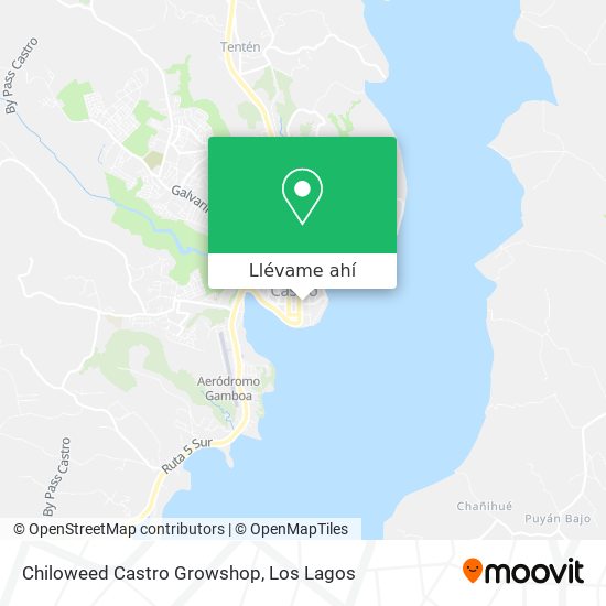 Mapa de Chiloweed Castro Growshop