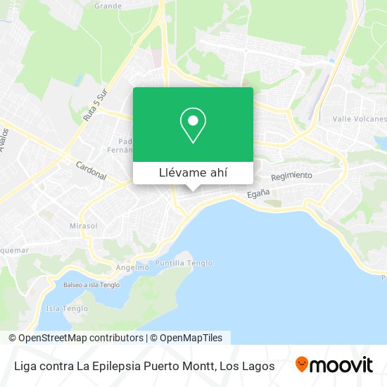 Mapa de Liga contra La Epilepsia Puerto Montt