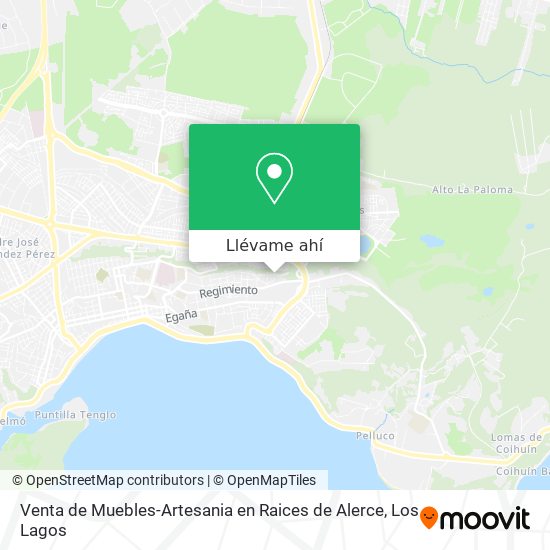 Mapa de Venta de Muebles-Artesania en Raices de Alerce