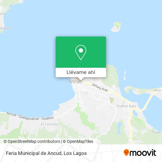 Mapa de Feria Municipal de Ancud