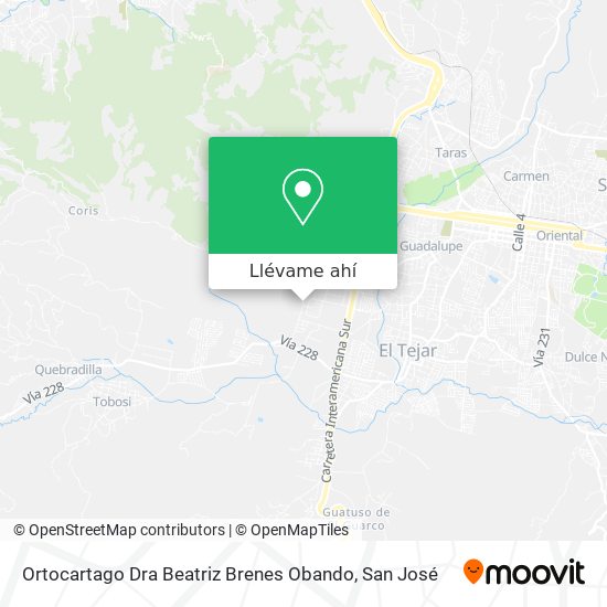 Mapa de Ortocartago Dra Beatriz Brenes Obando