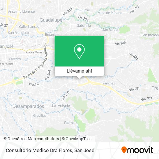 Mapa de Consultorio Medico Dra Flores