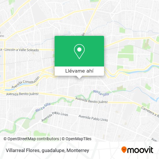 Mapa de Villarreal Flores, guadalupe