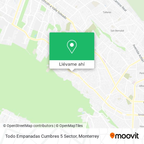 Cómo llegar a Todo Empanadas Cumbres 5 Sector en Monterrey en Autobús?