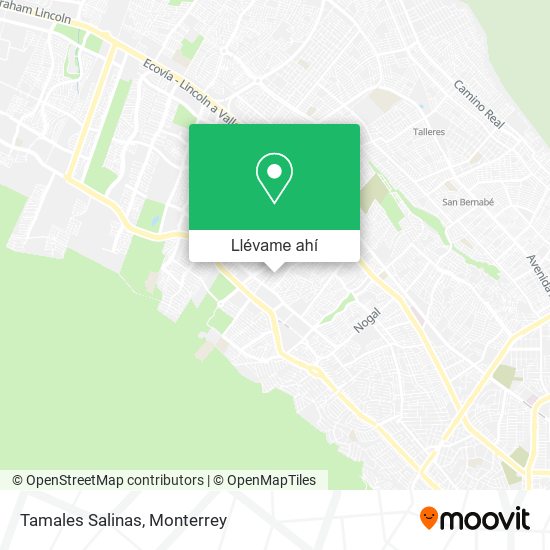 Mapa de Tamales Salinas