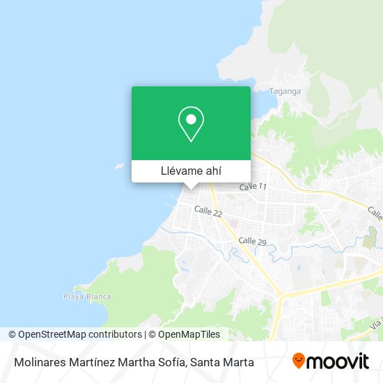 Mapa de Molinares Martínez Martha Sofía