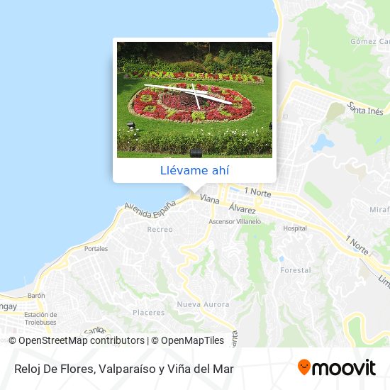 Mapa de Reloj De Flores