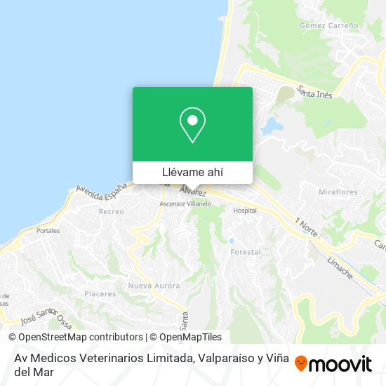 Mapa de Av Medicos Veterinarios Limitada