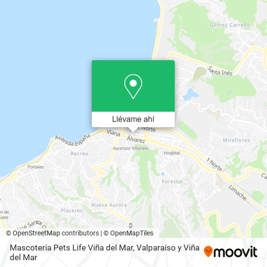 Mapa de Mascoteria Pets Life Viña del Mar