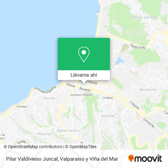 Mapa de Pilar Valdivieso Juncal