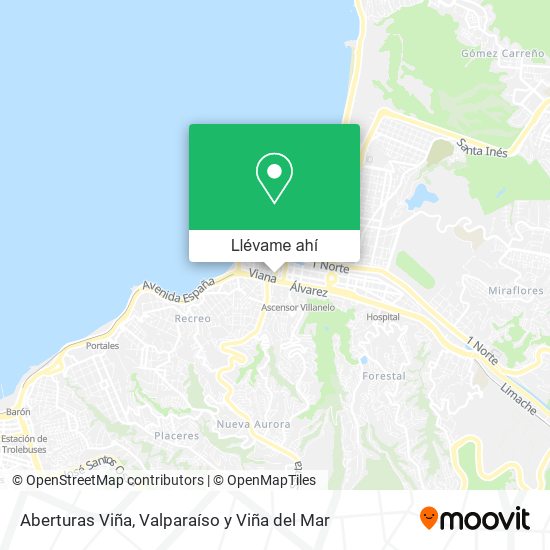 Mapa de Aberturas Viña